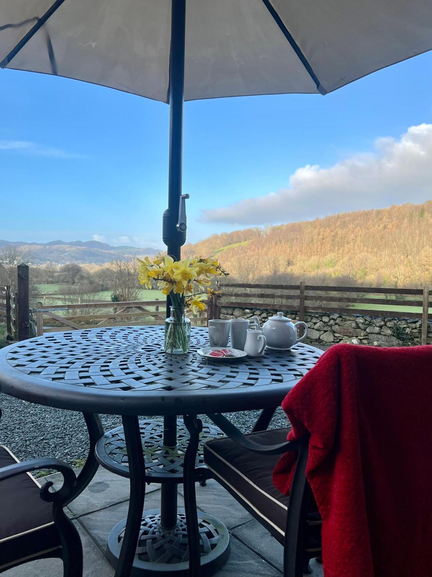 Cader Mountain View Cottage With Hot Tub In Snowdonia ドルゲラウ エクステリア 写真